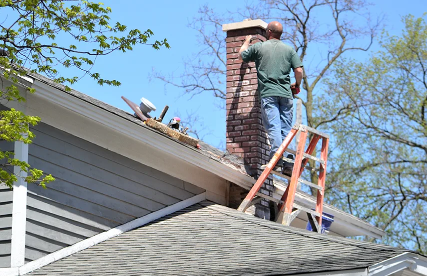 Chimney & Fireplace Inspections Services in Lincolnia, VA